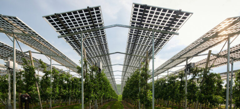 Agrivoltaik-Anlage
